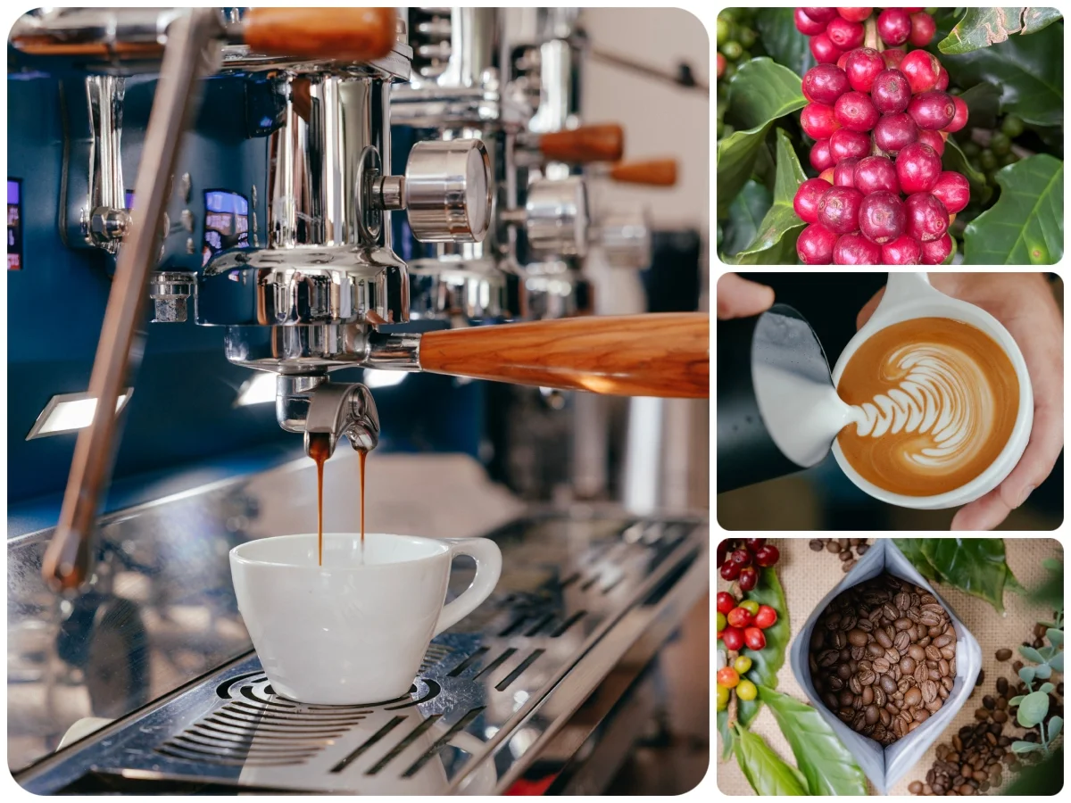 Espresso pouring from a La Marzocco machine alongside ripe coffee cherries, latte art and a bag of green coffee beans.